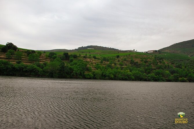 1-Hour Rabelo Boat Trip in Pinhão - The return trip looks different from the same river