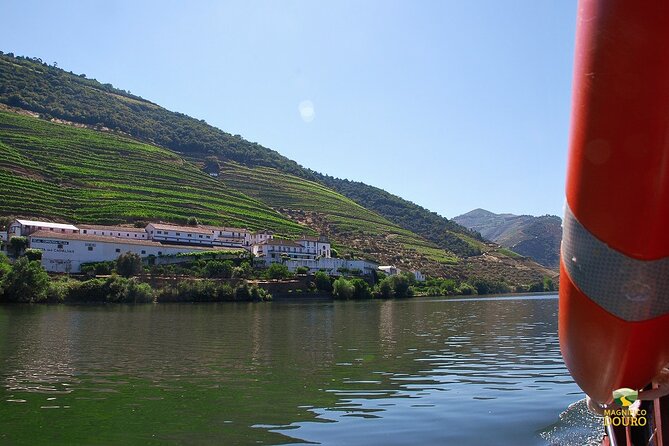1-Hour Rabelo Boat Trip in Pinhão - How much value do you get for $18?