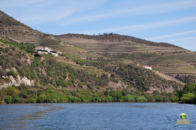 1-Hour Rabelo Boat Trip in Pinhão - The people this cruise suits best