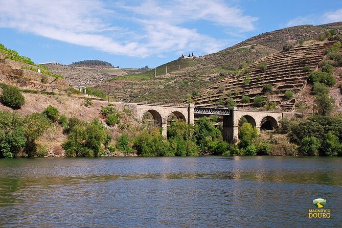 1-Hour Rabelo Boat Trip in Pinhão - Sailing toward Roncão through the wine valley