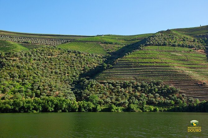 2-hour Rabelo Boat tour in Pinhão - Under the Eiffel bridge and up toward Roncão