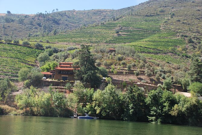 2-hour Rabelo Boat tour in Pinhão - The app-based commentary