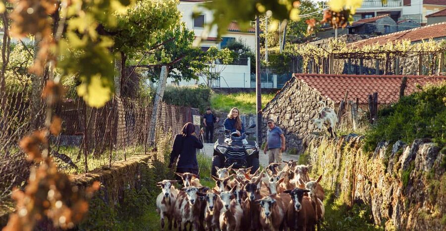 2h Quad Tour • Arcos de Valdevez • Peneda Gerês - Key points to know before booking