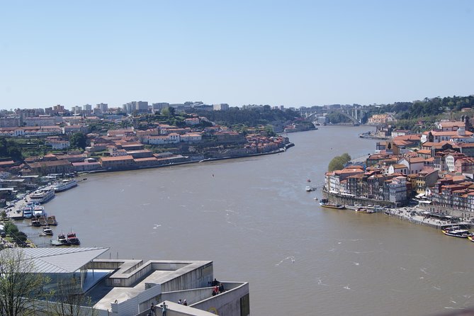 3-Hour Guided Walking Tour of Porto - Dom Luís I Bridge and the Final Views