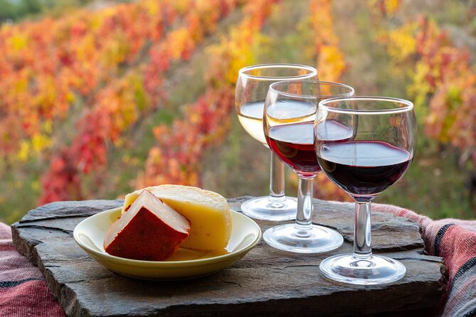 3-Hour Tour to Discover Pinhão - Moment of Discovery - From the Riverside to a Douro Quinta
