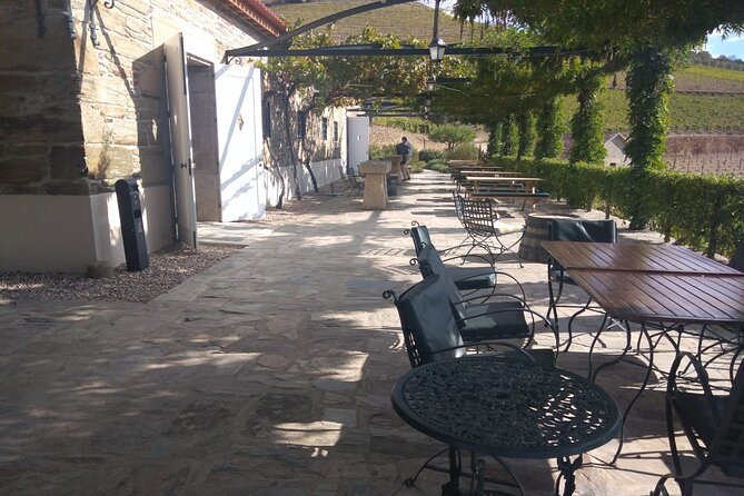 3-Hour Tour to Discover Pinhão - Moment of Discovery - What the Guides Add