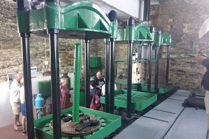 3-Hour Tour to Discover Pinhão - Moment of Discovery - Who Will Enjoy This Tour Most?