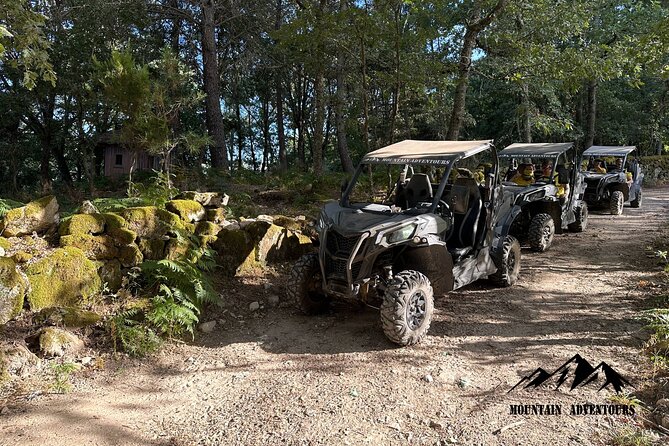 30 minutes Buggy Ride - Key points at a glance