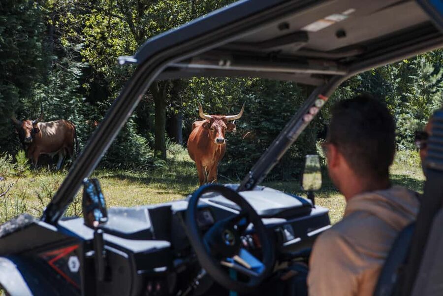 4h Buggy Tour • Arcos de Valdevez • Peneda Gerês - Four hours behind the wheel near Arcos de Valdevez