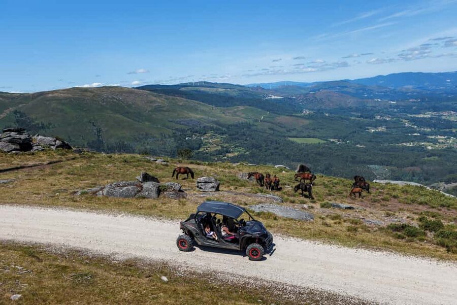 4h Buggy Tour • Arcos de Valdevez • Peneda Gerês - Forest roads and the Serra do Soajo hillside