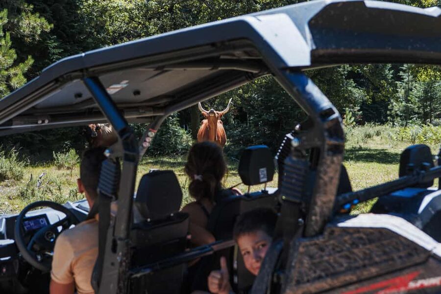 4h Buggy Tour • Arcos de Valdevez • Peneda Gerês - From the Vez River Valley to rough mountain tracks