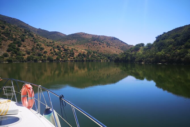 4H Private Boat Trip on the Douro River - Feel the Nature - Rio Inha: the day’s main pause