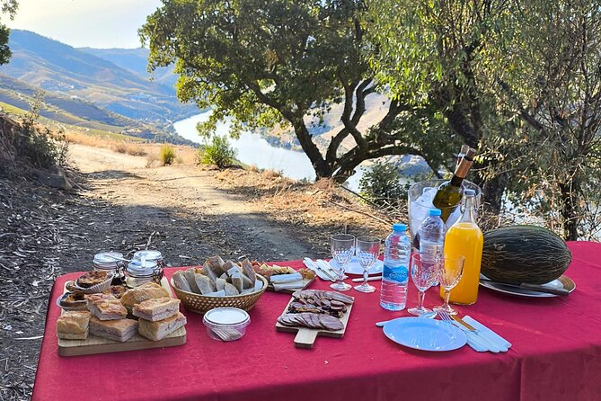 4x4 Adventure in Douro: Wine Tasting, Boat Trip and Lunch - Why this Douro tour feels different