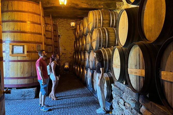 4x4 Adventure in Douro: Wine Tasting, Boat Trip and Lunch - A quiet hour in Tabuaço