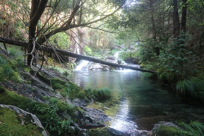 4X4 Tour - Discovering Serra d´ Arga - What the private format means for you