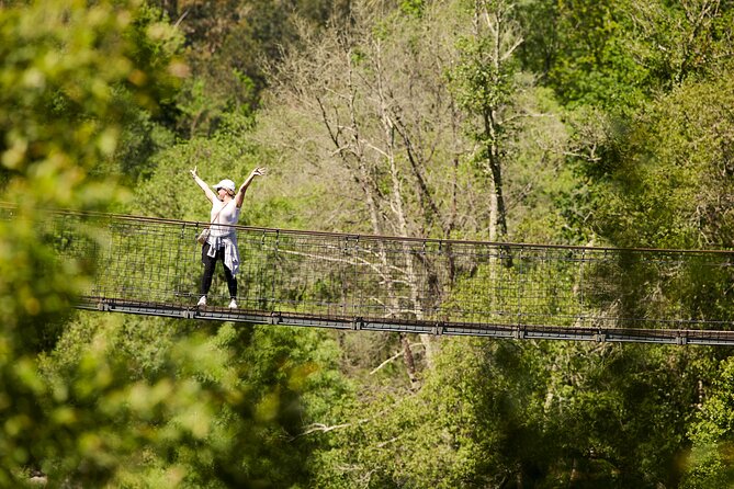 516 Arouca Bridge & Paiva Walkways Tour with Lunch from Porto - Fitness, Heights, and What to Pack