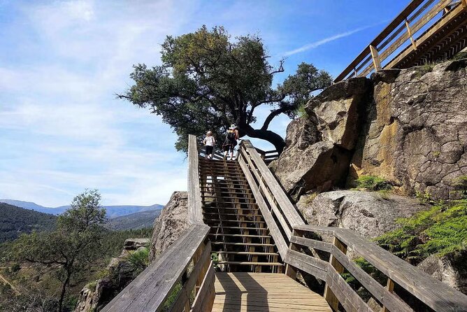 Adventure Paiva Passages: Suspension Bridge and Picnic | Porto - Leaving Porto for Arouca at 8:00 a.m.
