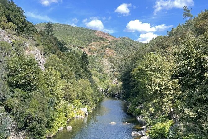 Adventure Paiva Passages: Suspension Bridge and Picnic | Porto - Is $132.49 a fair price?