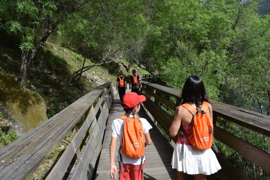 Alvarenga: Paiva Walkways and 516 Arouca Bridge Guided Tour - Starting at Areinho Beach and the Paiva trailhead