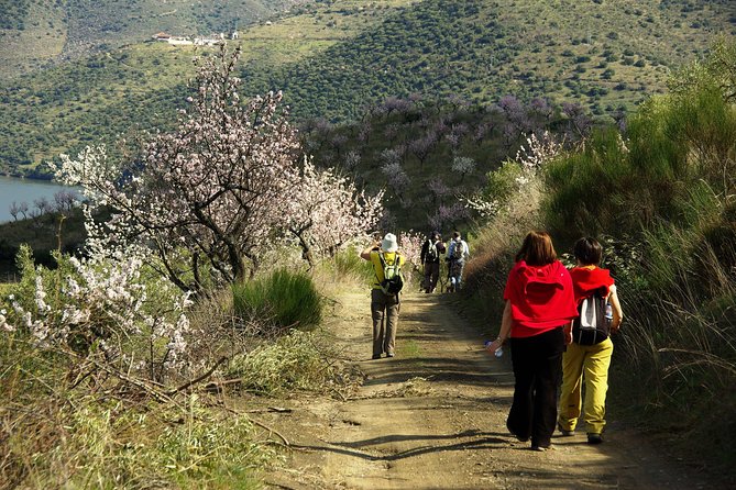 Amendoeiras em Flor - Starting at 8:00 a.m. in Vila Chã