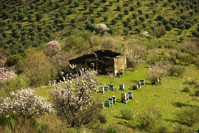 Amendoeiras em Flor - Who will get the most from this tour