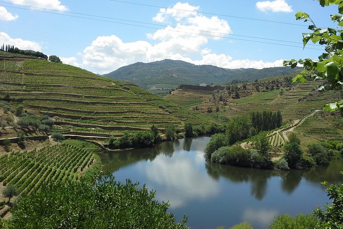 Authentic Douro Valley - small-Group Tour (Max 7) - Why the Douro Valley deserves a full day from Porto