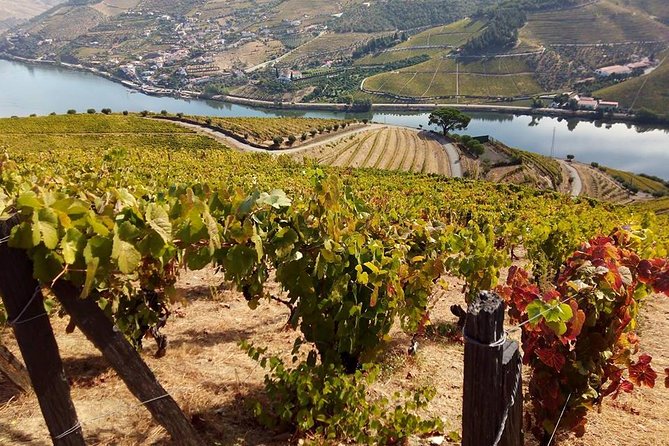 Authentic Douro Valley - small-Group Tour (Max 7) - Village roads and Douro viewpoints
