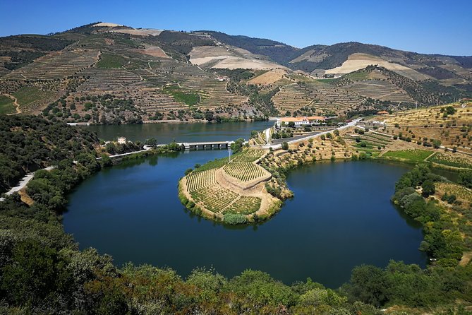 Authentic Douro Valley - small-Group Tour (Max 7) - The N222 and the Douro River