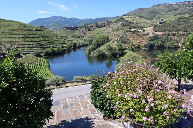 Authentic Small Group Douro Wine Tour with Lunch & River Cruise - A guided tasting at a Douro quinta