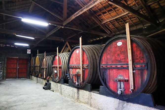 Authentic Small Group Douro Wine Tour with Lunch & River Cruise - The return to Porto and what the timing means