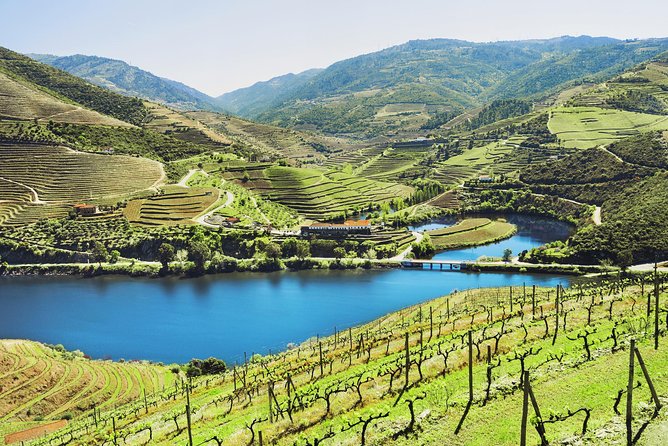 Authentic Small Group Douro Wine Tour with Lunch & River Cruise - The morning ride from central Porto
