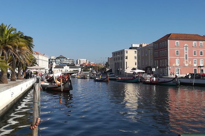 Aveiro and Coimbra Small Group Tour with Moliceiro Boat Cruise - Coimbra University and the Joanina Library