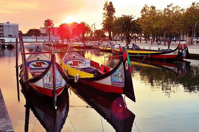 AVEIRO and COSTA NOVA Private Full Day Tour from Porto - Five things to know before you book