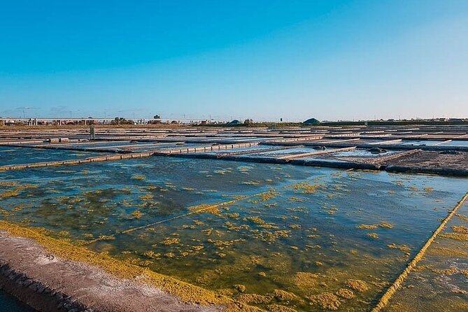 AVEIRO and COSTA NOVA Private Full Day Tour from Porto - The fish market is a practical lunch stop