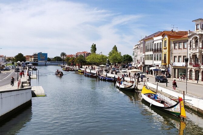 AVEIRO and COSTA NOVA Private Full Day Tour from Porto - Private transport makes the long day easier