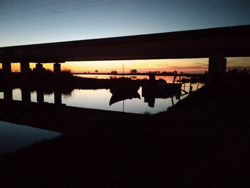 Aveiro: Boat Cruise and City Walking Tour with Sweet Tasting - Ovos moles: a small tasting with a big local link