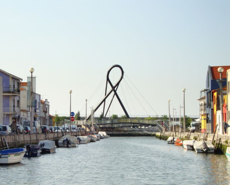 Aveiro: Boat Cruise and City Walking Tour with Sweet Tasting - The guide can shape the whole experience
