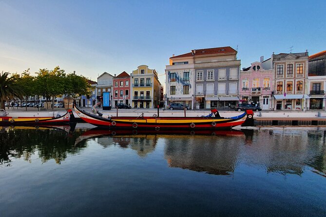 Aveiro Canal Cruise in Traditional Moliceiro Boat - Who will enjoy this Aveiro cruise most?