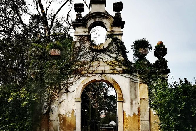 Aveiro, Costa Nova and Coimbra Private Tour From Porto - Aveiro’s Ria and the Optional One-Hour Cruise
