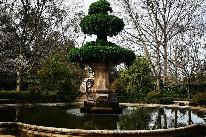 Aveiro, Costa Nova and Coimbra Private Tour From Porto - Why the Private Format Helps in Aveiro