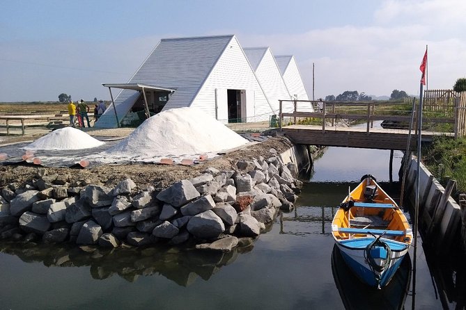 Aveiro & Costa Nova Private Tour – Canals & Striped Houses - Crossing the Aveiro Lagoon by ferry