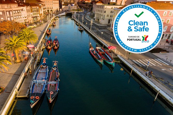 Aveiro Half Day Private Tour Porto w/ Moliceiro River Cruise - Why Aveiro works as a four-hour escape from Porto