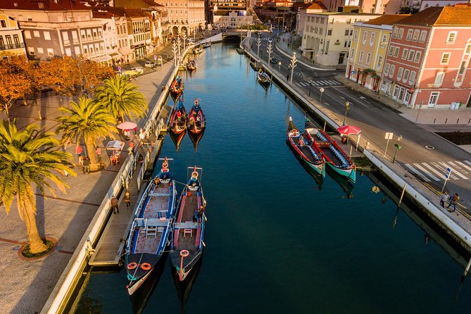 Aveiro Half Day Private Tour Porto w/ Moliceiro River Cruise - Barra Lighthouse and the final coastal view