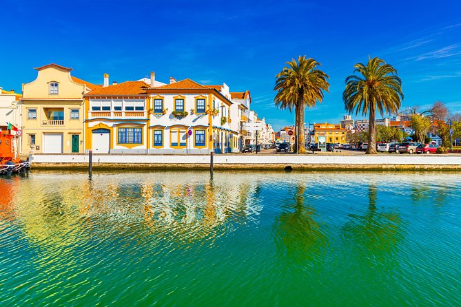 Aveiro Half Day Private Tour Porto w/ Moliceiro River Cruise - Aveiro’s Art Nouveau buildings and quick city stops