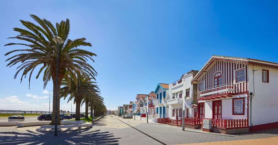 Aveiro: Half-Day Tour from Porto with Cruise - How the pace works in real life