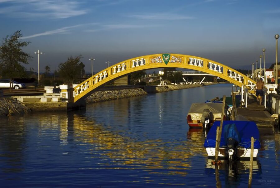 Aveiro: Half Day Tour with Boat Ride - Key points to know before booking