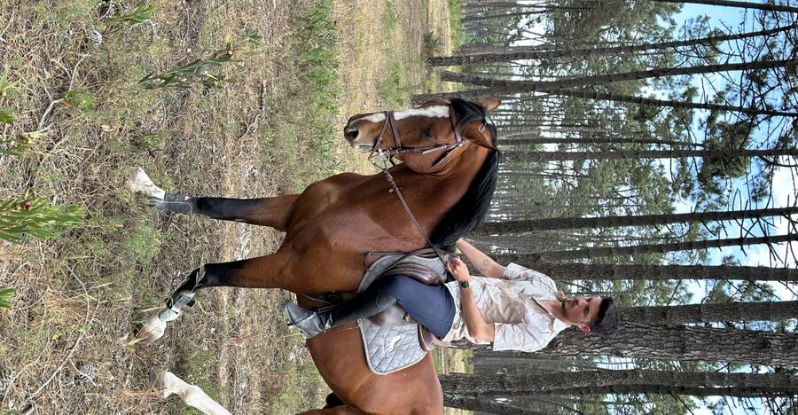 Aveiro: Horse Riding Experience with Instructor - Key points before you saddle up