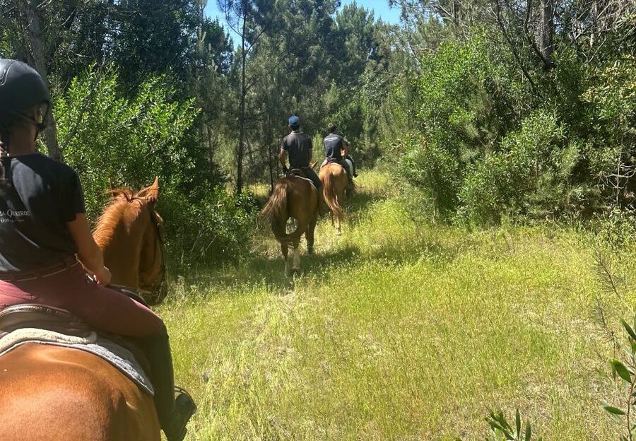 Aveiro: Horse Riding Experience with Instructor - Six kilometers through forest and farmland