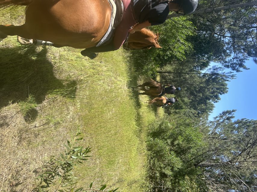 Aveiro: Horse Riding Experience with Instructor - How much interaction should you expect?