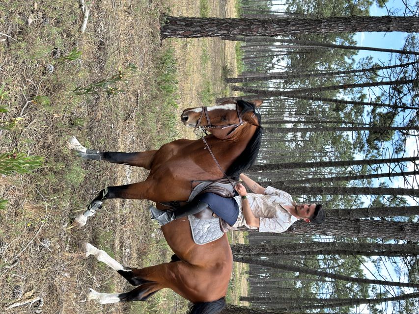 Aveiro: Horse Riding Experience with Instructor - Simple planning details that matter